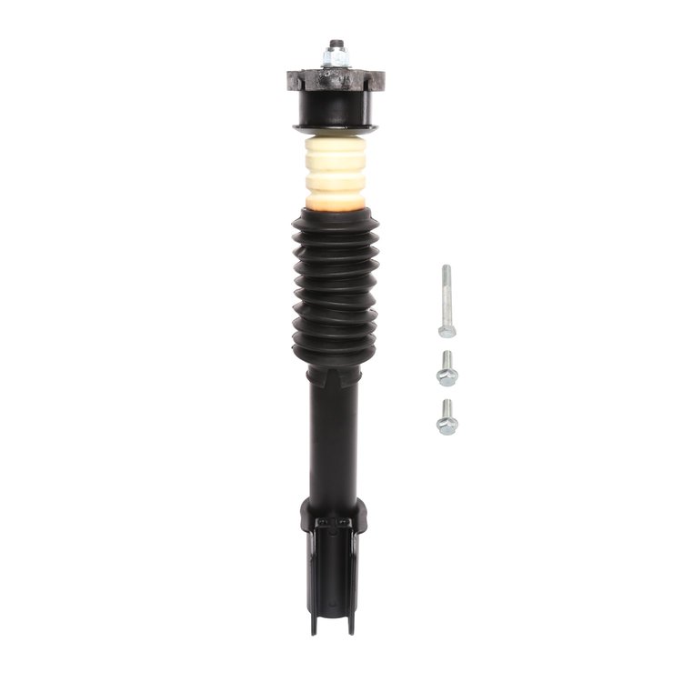 Strut Assembly