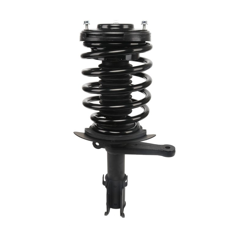 Strut Assembly