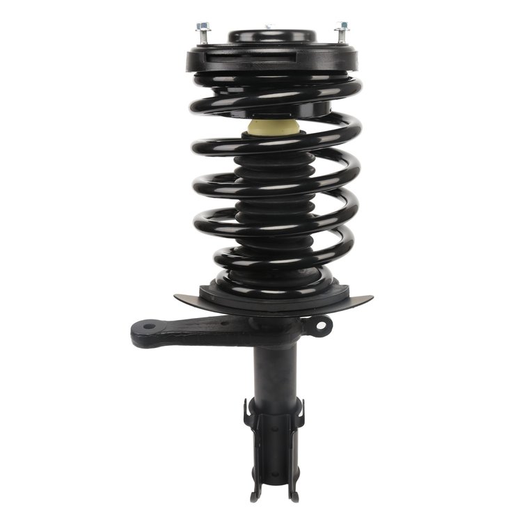 Strut Assembly