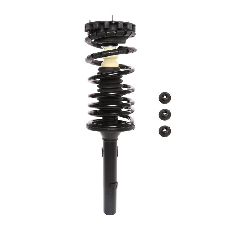 Strut Assembly