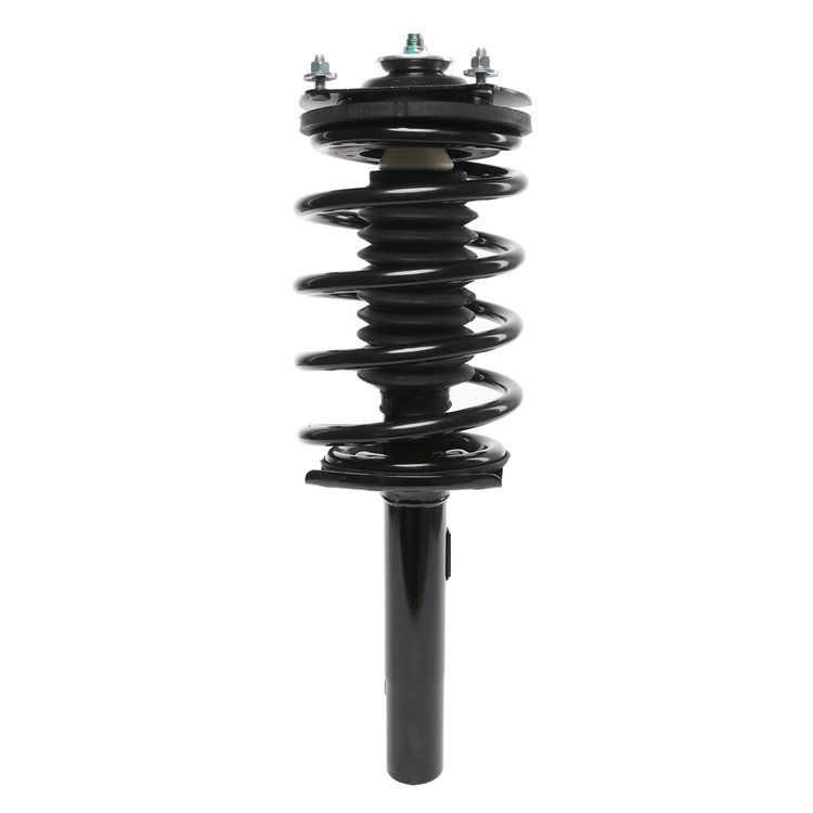 Strut Assembly