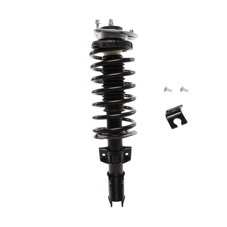 Strut Assembly