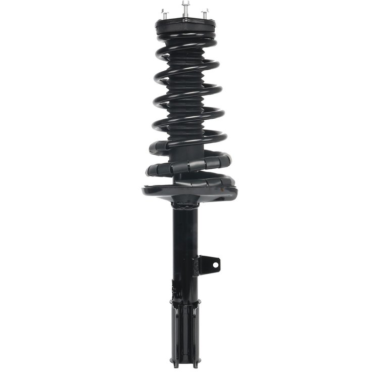 Strut Assembly