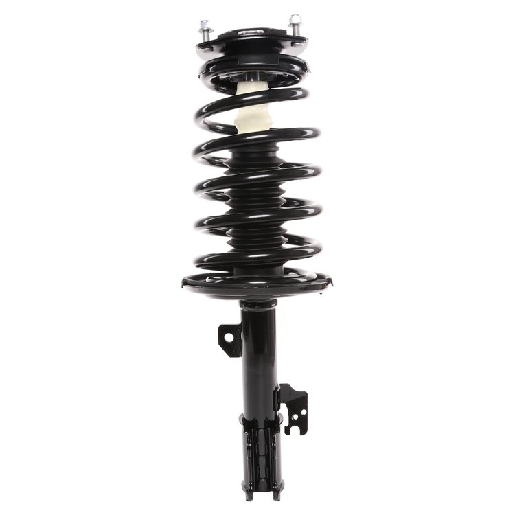Strut Assembly