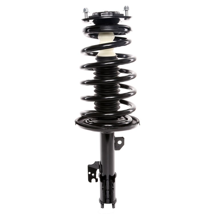 Strut Assembly