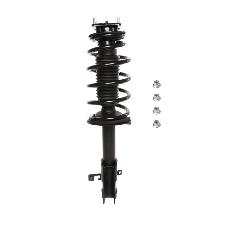 Strut Assembly