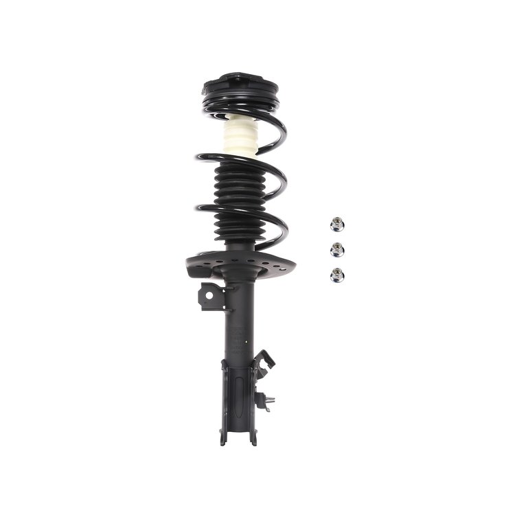 Strut Assembly