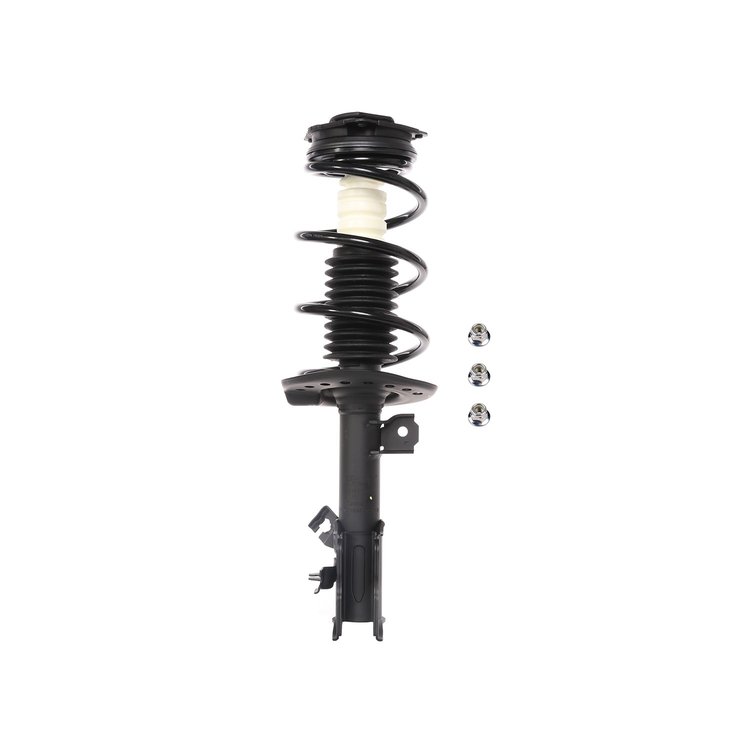 Strut Assembly