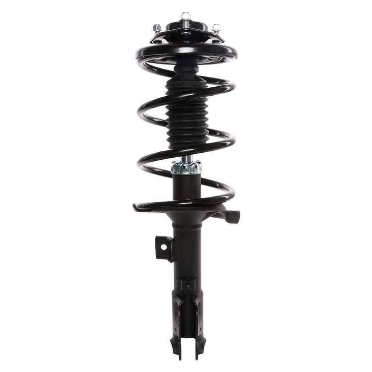Strut Assembly