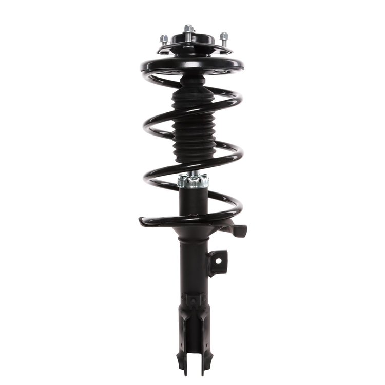 Strut Assembly
