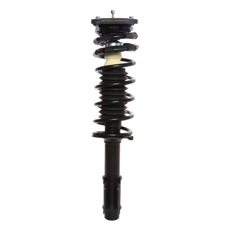Strut Assembly