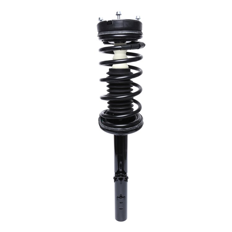 Strut Assembly