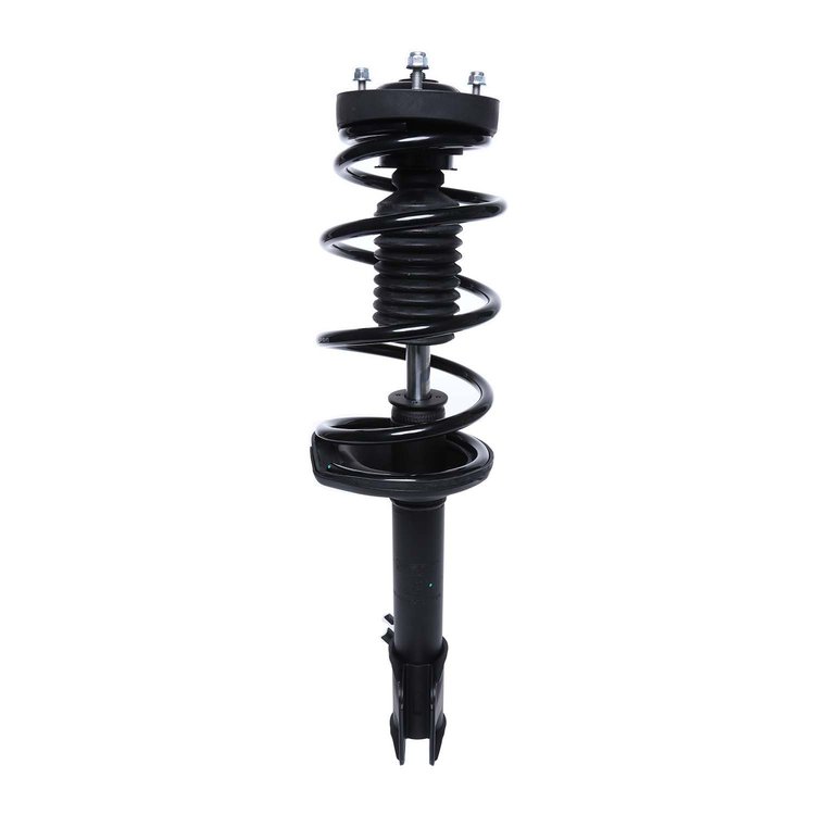 Strut Assembly