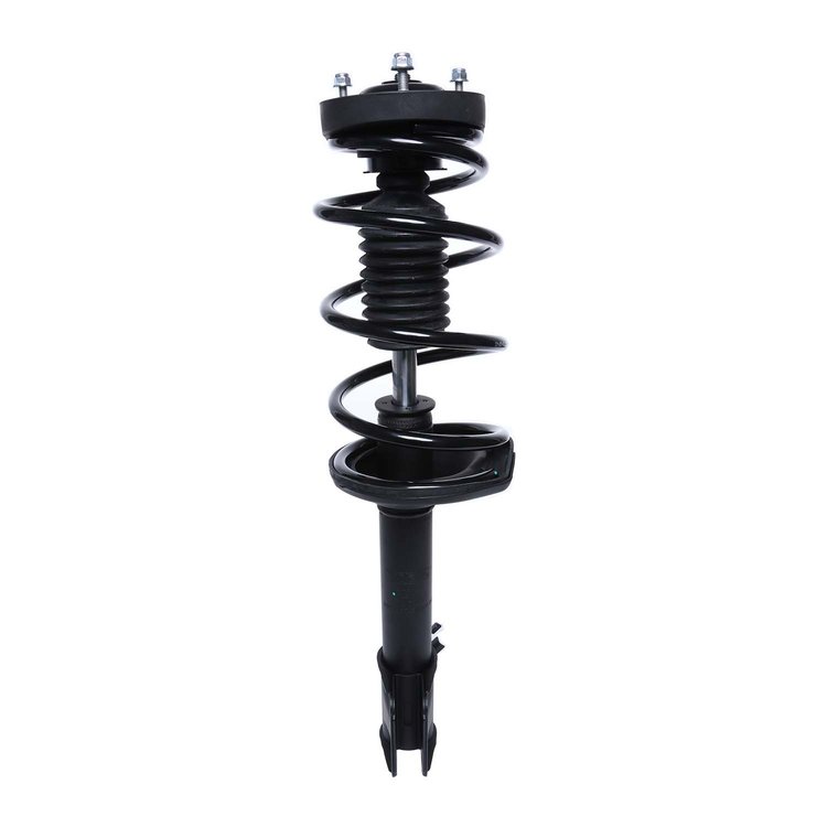 Strut Assembly