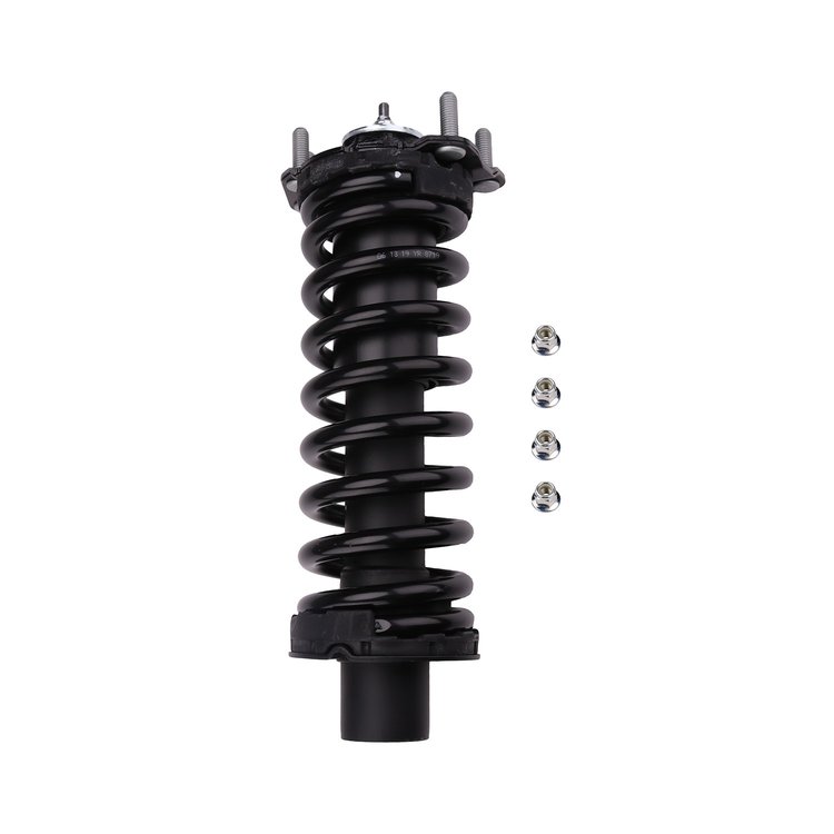 Strut Assembly