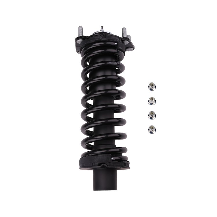 Strut Assembly