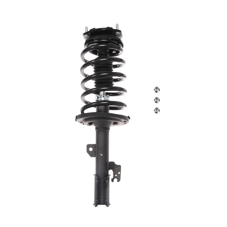 Strut Assembly