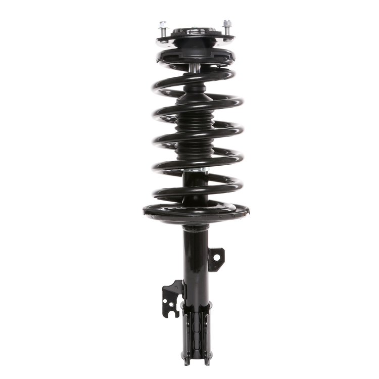 Strut Assembly