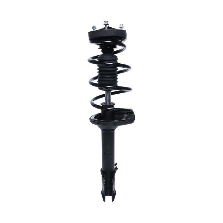 Strut Assembly