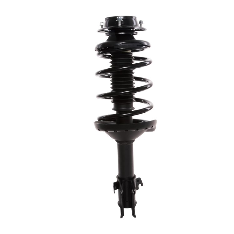 Strut Assembly