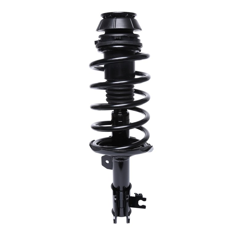 Strut Assembly
