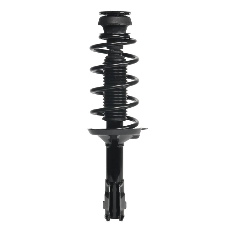 Strut Assembly