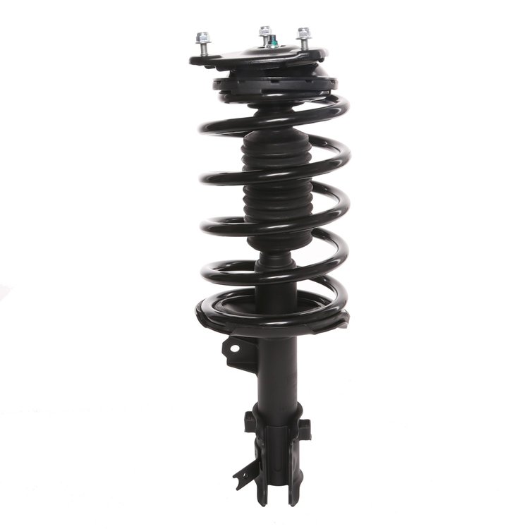 Strut Assembly
