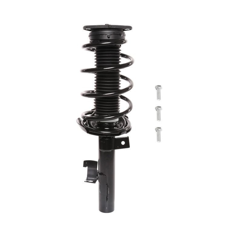 Strut Assembly