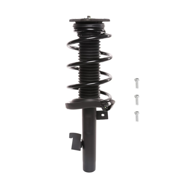 Strut Assembly