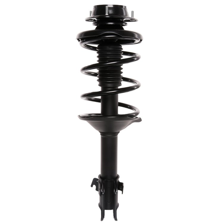 Strut Assembly
