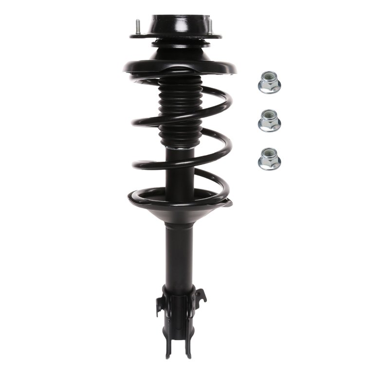 Strut Assembly