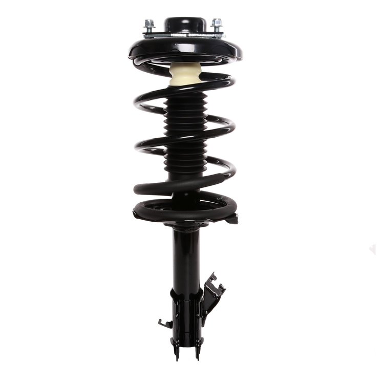 Strut Assembly
