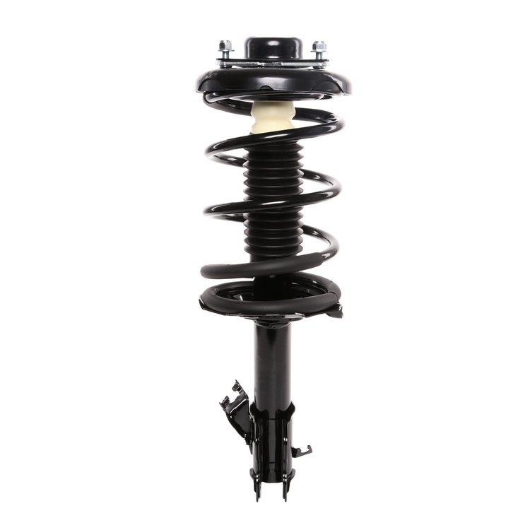 Strut Assembly