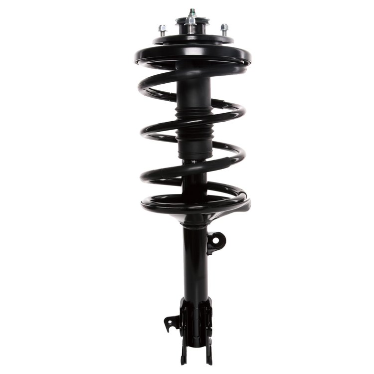 Strut Assembly