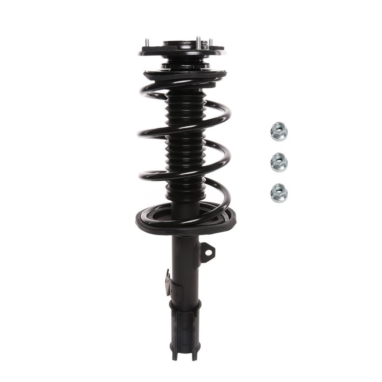 Strut Assembly