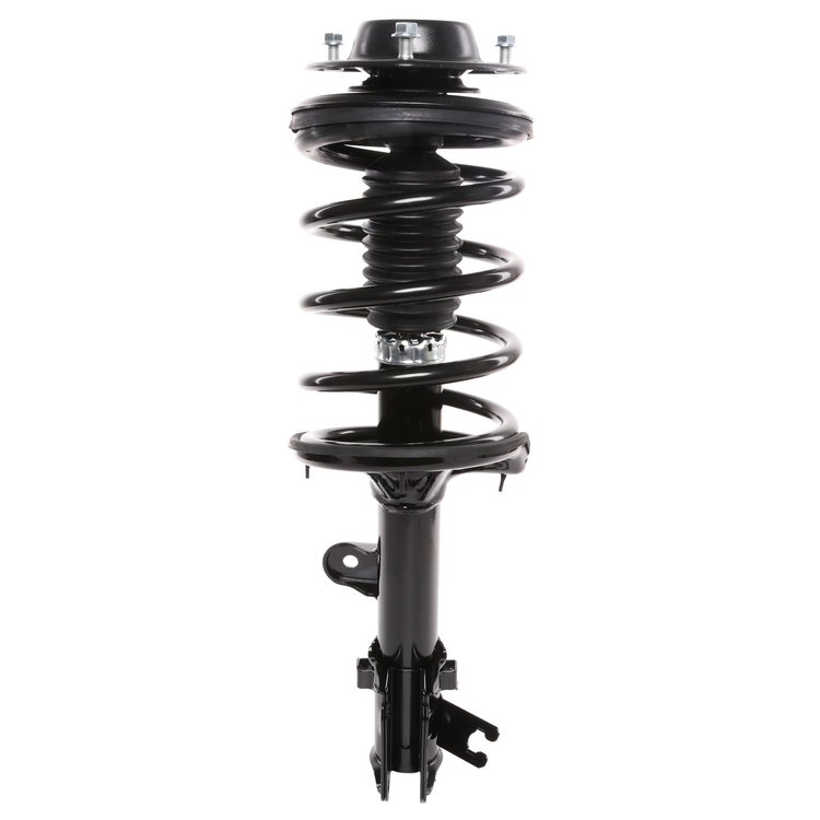 Strut Assembly