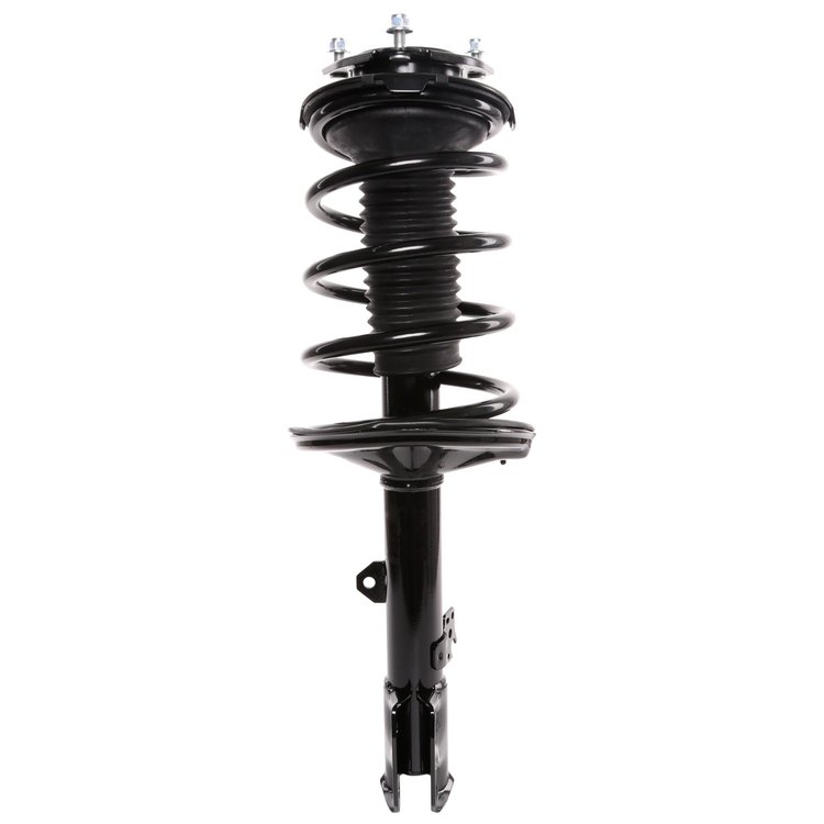 Strut Assembly