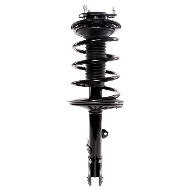 Strut Assembly