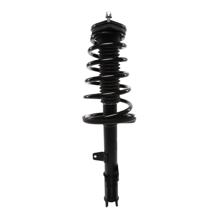 Strut Assembly