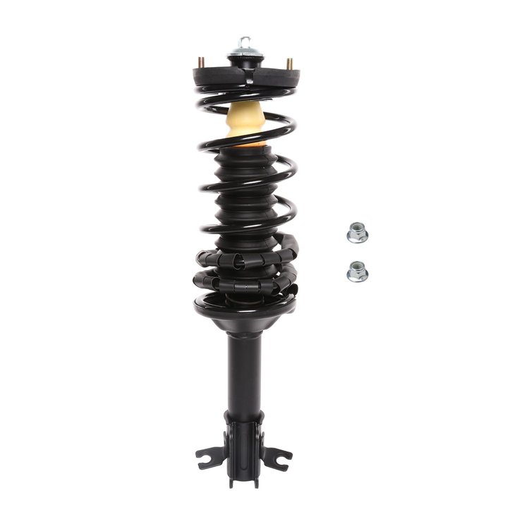Strut Assembly