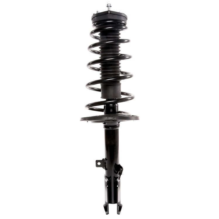 Strut Assembly