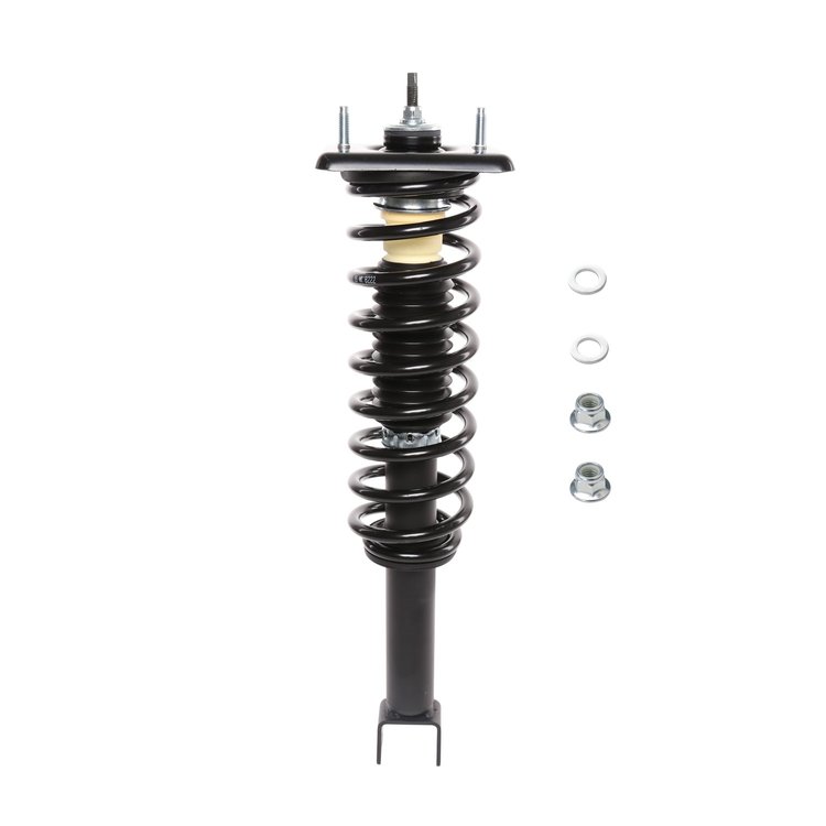 Strut Assembly