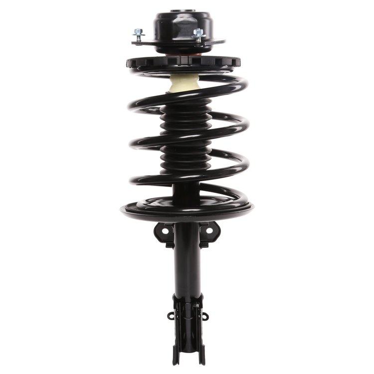 Strut Assembly