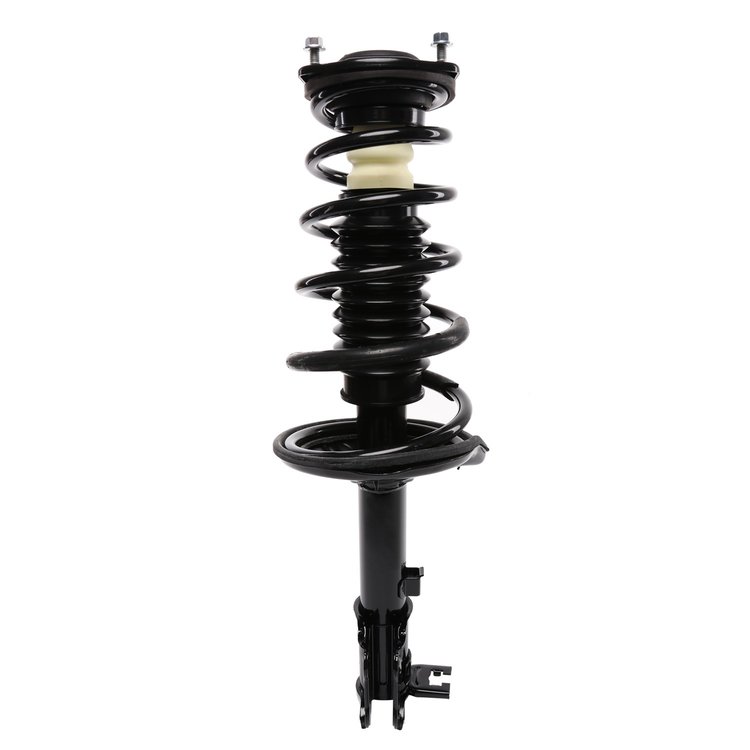 Strut Assembly