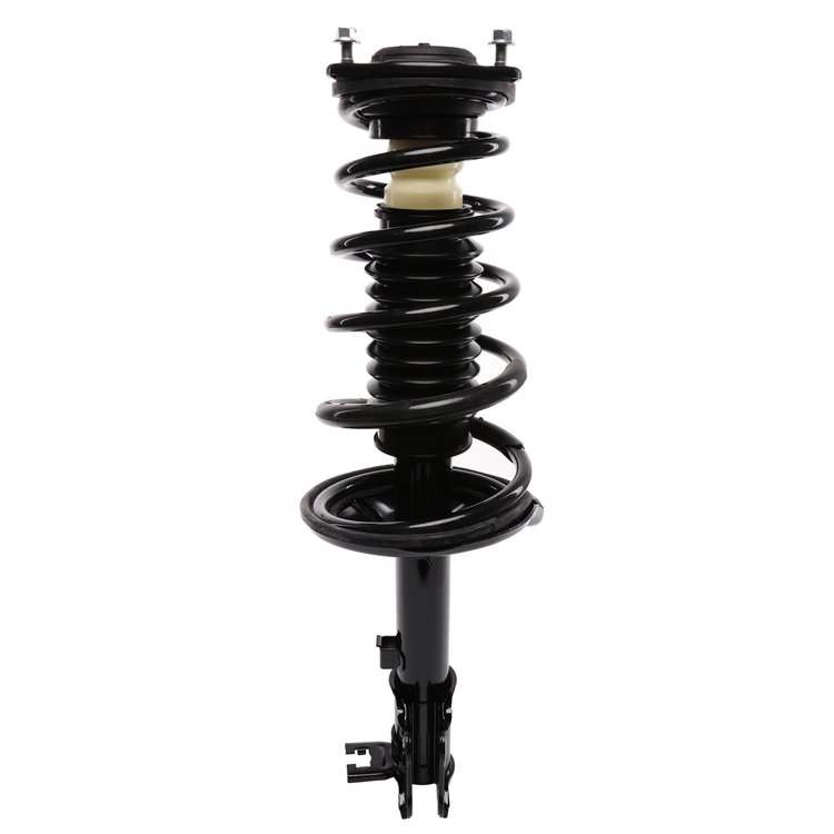 Strut Assembly