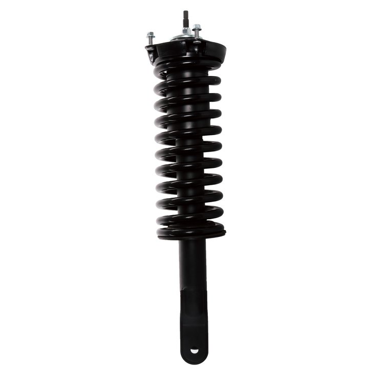 Strut Assembly