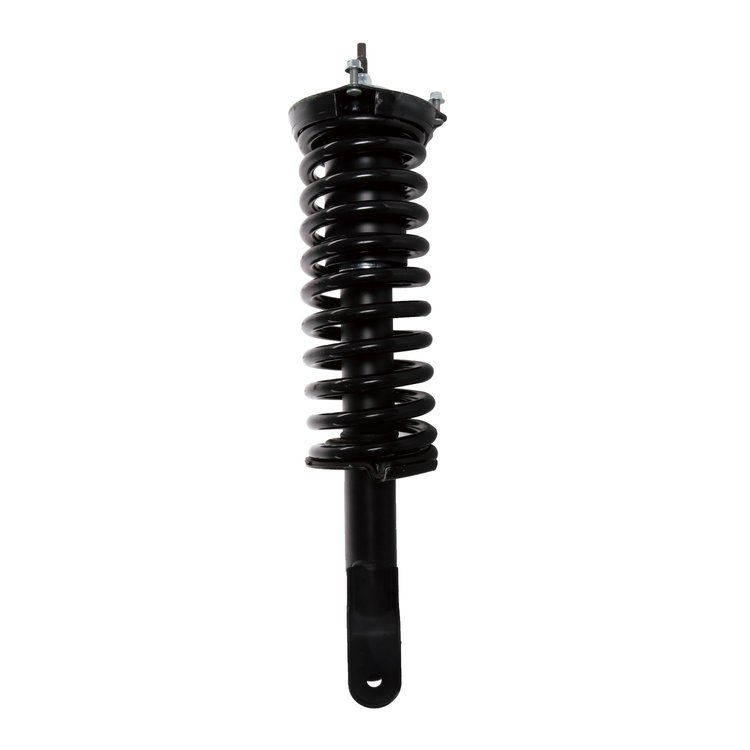 Strut Assembly
