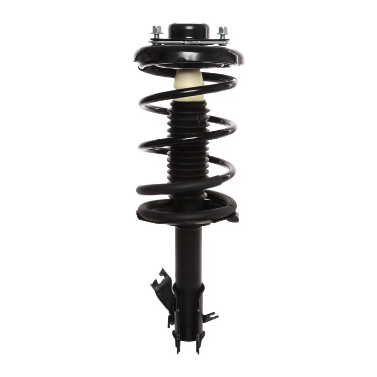 Strut Assembly
