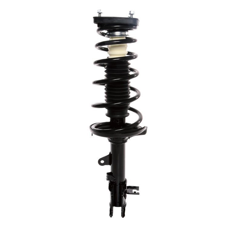 Strut Assembly