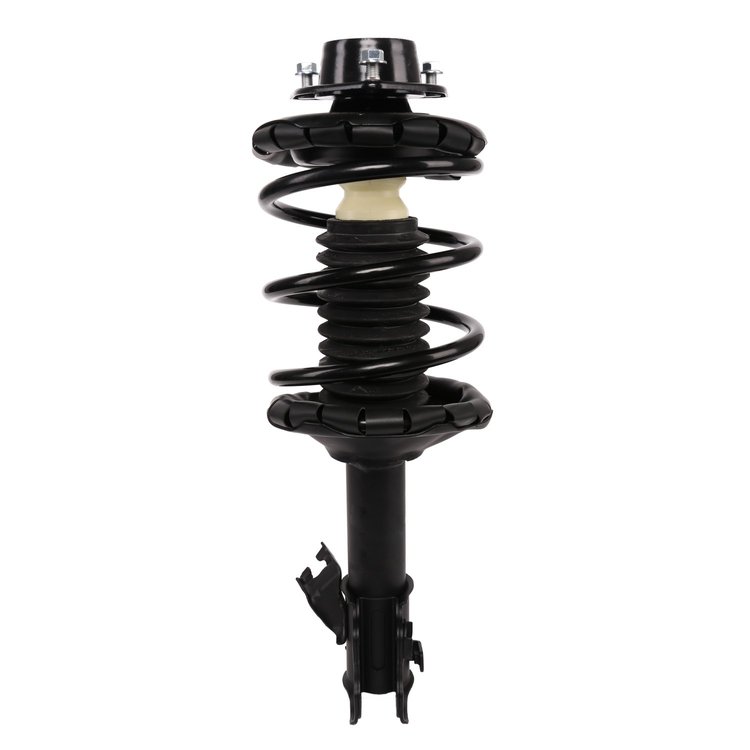 Strut Assembly